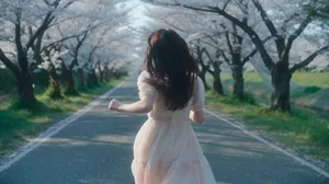电影布光大师